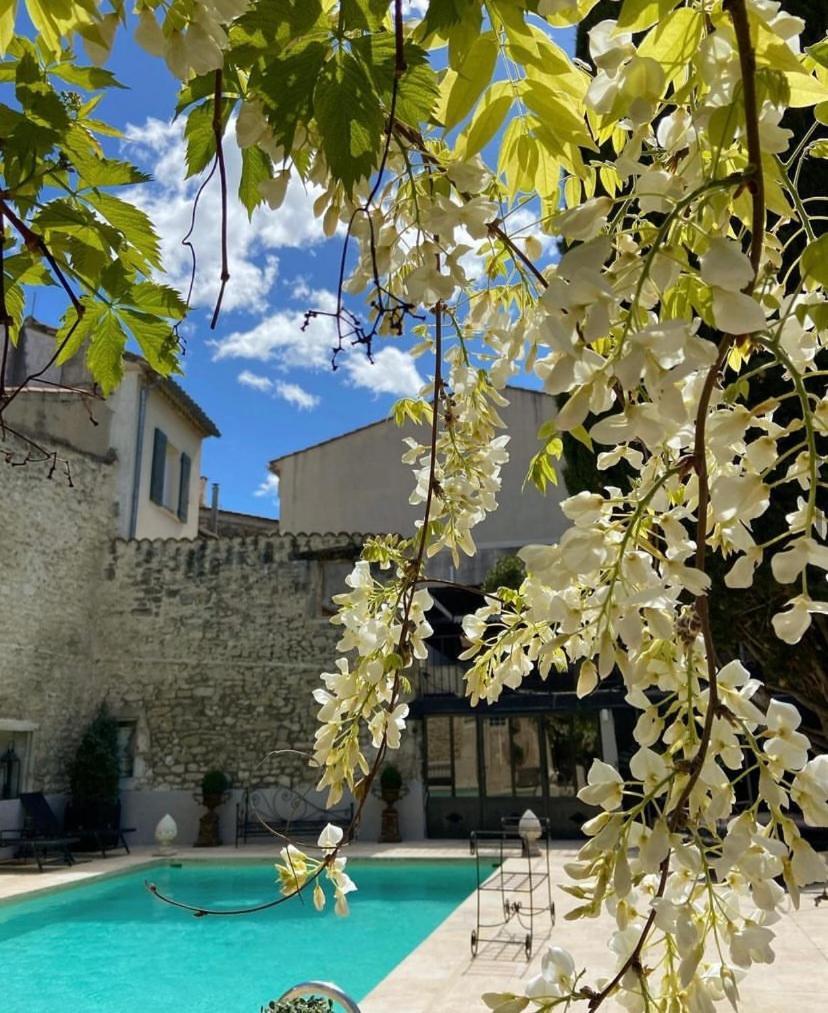 Hotel Gounod Saint-Rémy-de-Provence Exteriér fotografie
